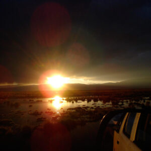 Laguna de Llancanelo relevamiento ambiental